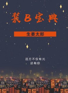 装B宝典